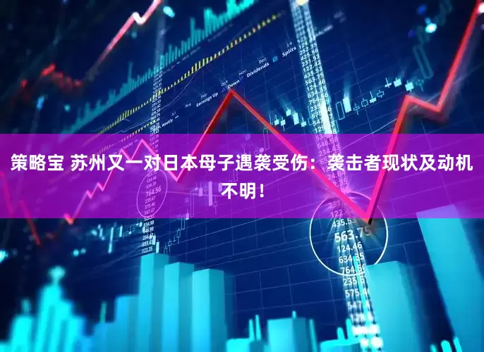 策略宝 苏州又一对日本母子遇袭受伤:袭击者现状及动机不明!