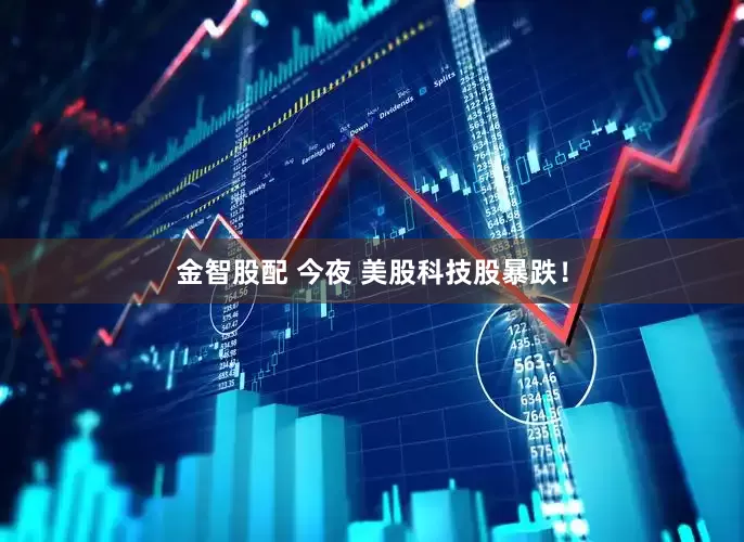 金智股配 今夜 美股科技股暴跌！
