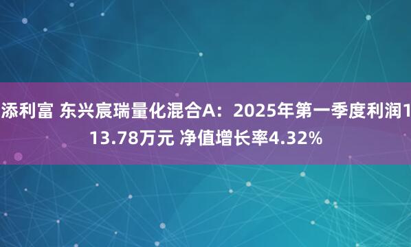 添利富 东兴宸瑞量化混合A：2025年第一季度利润113.78万元 净值增长率4.32%