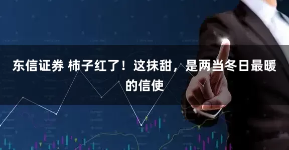 东信证券 柿子红了！这抹甜，是两当冬日最暖的信使