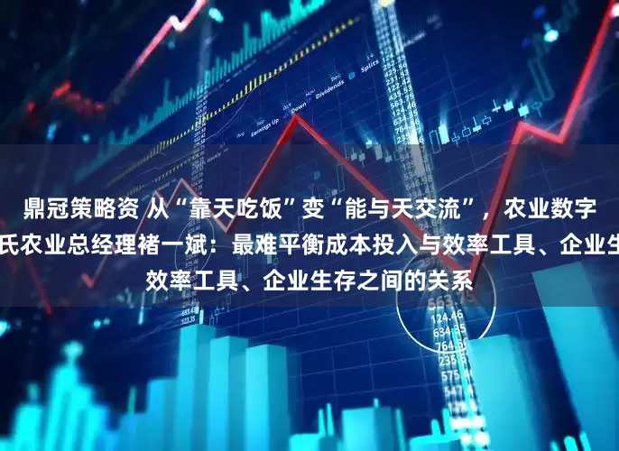 鼎冠策略资 从“靠天吃饭”变“能与天交流”，农业数字化难在哪？ 褚氏农业总经理褚一斌：最难平衡成本投入与效率工具、企业生存之间的关系